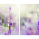 겨울아침창가에서 이미지