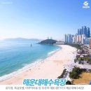 K-Culture Festival in Jeju<시통회무> | 한국(Korea)에서 K-Culture를 경험하기: 최고의 여행지