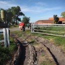 안인농장 이미지