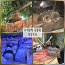 [영등포] 30대 어른이 둘이 다녀온 주렁주렁 동물원 영등포점