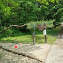 원주굽이길 원4코스 명봉산진달래길 이미지