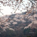 희원 이미지