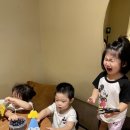 카페775