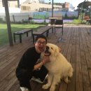 개아범콜 서울신문