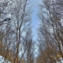 팔당스노우라이딩(풍류번짱) 이미지