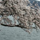 동산여관 이미지