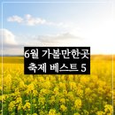 6월 축제 가볼만한 곳 전국 베스트 5 (충주, 음성, 가평, 전주, 포천)