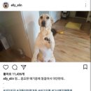 개스타