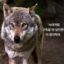 신중상사 이미지