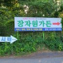 장자원 낚시터 의정부 손맛터 스위벨채비 붕어 낚시 6월 오전 짬낚시 조행기