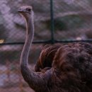 페인트볼 이미지