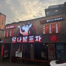 도깨비호프&포차 | [서울/혜화] 당나발포차 서울대학로점 혜화 가성비 술집 내돈내산 방문후기