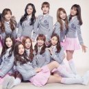 픽미픽미 - 용인시 수지구 현암로 164 | 픽미픽미
