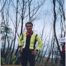 개나리공원3 이미지