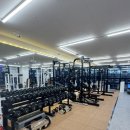 와이디짐 이미지