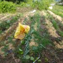 고랑정미소 이미지