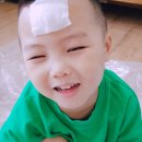 더쏨 이미지