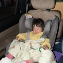 하식이 보러 아라마루 아쿠아리움 댕겨옴