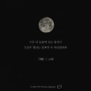 조이나무