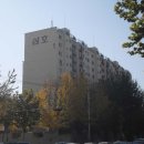 강남-215 이미지
