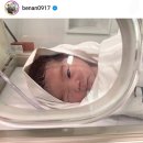 PGA스크린골프 이미지