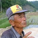 도덕1리 이미지