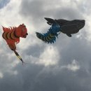 동호해비치 이미지