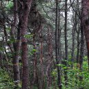 부용길1 이미지