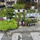 꽃담은 | 대구당일꽃배달 가능한 너를담은꽃 방문 후기