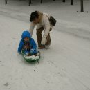 설매공원 Daum카페