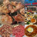 양덕동254 이미지