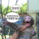 윤영입시학원 | 너도커서어른이되면인간행세를하겠지