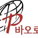 성바오로딸수도회 이미지