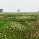 이야기가 있는 풍경 이미지