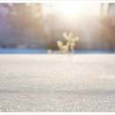 LH새마을금고 이미지