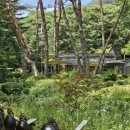 3관문 휴게소 화장실 이미지