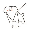 미용하는 강아지 살롱 이미지