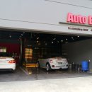 오토블링 이미지