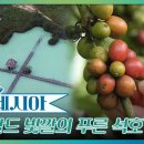 석호농장 이미지