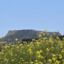 반달식당 이미지