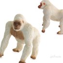 고릴라 소프트 이미지