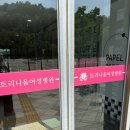 난임일기 (4) | 세종 난임병원 트리니움 나팔관조영술 후기 (통증/소요시간/금액/실비유무/타이레놀)