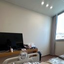 자연알로(성남) | 성남 더미즈병원 자연분만 후기, 출산 입원 1,2일차