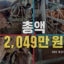 억대축산 이미지