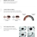 씨월드 안경원 이미지