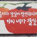 해님농장 이미지