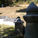 화유옹주묘 이미지