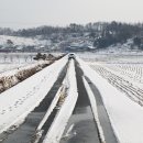발산초등학교 이미지