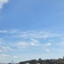 멍이냥이하우스 | [이스탄불] 트램타고 워킹투어, 신시가지 당일 여행코스 추천