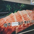 늘푸른참치